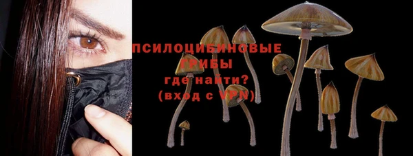 таблы Пересвет