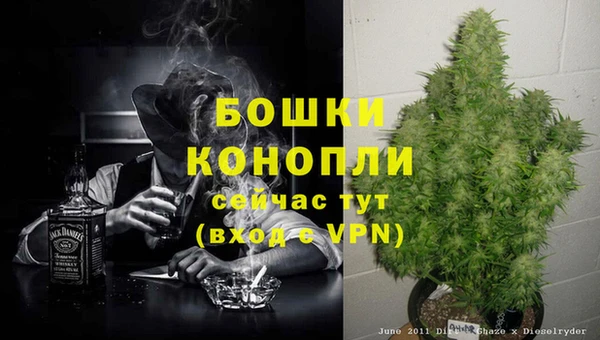 стаф Пестово