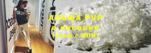 стаф Пестово