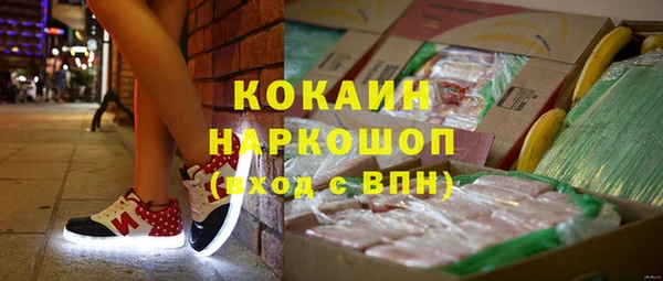 стаф Пестово