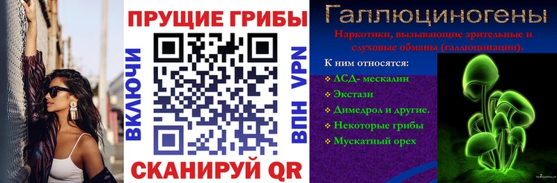 Галлюциногенные грибы мицелий  хочу   OMG   Тырныауз 