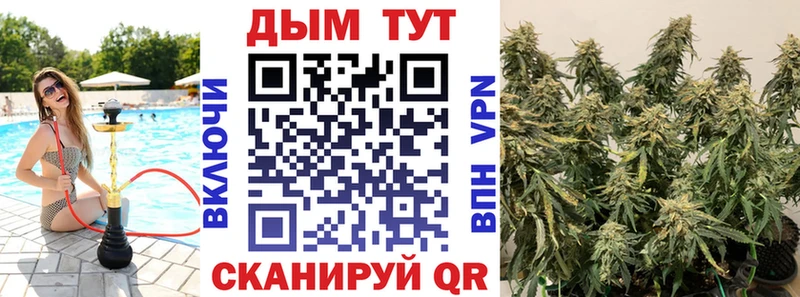 Канабис план  маркетплейс как зайти  Тырныауз 